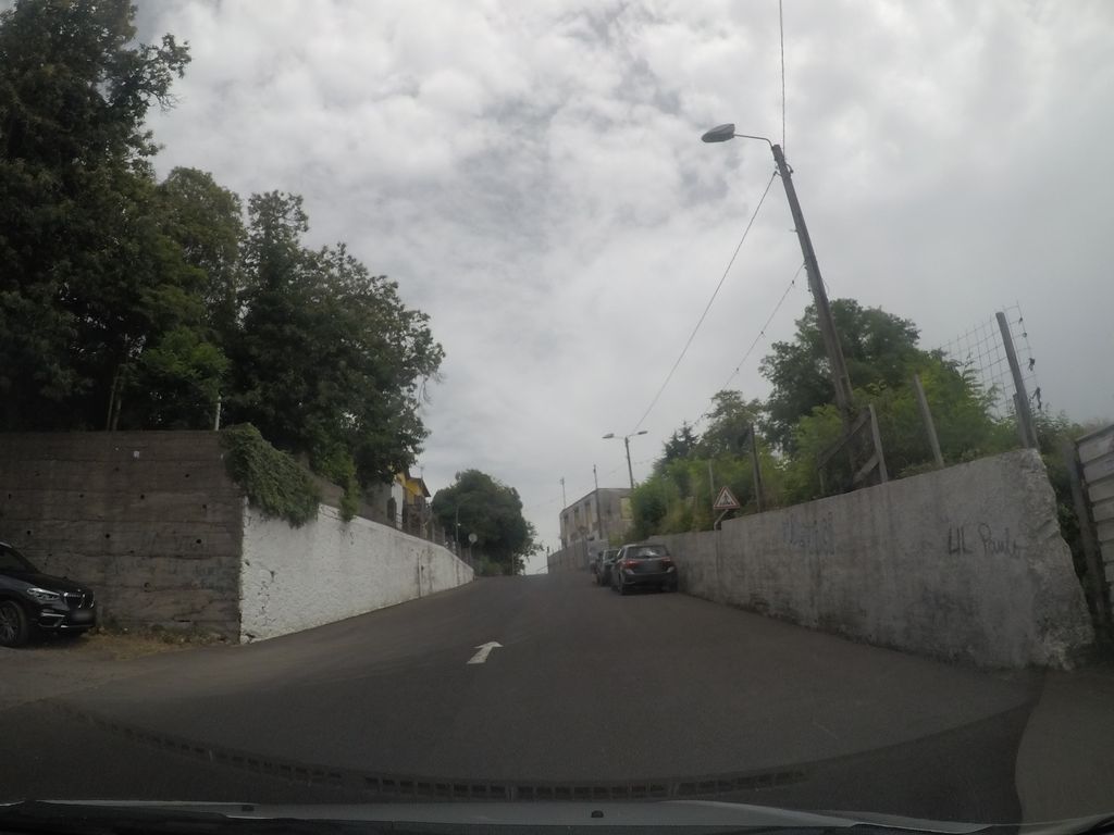 O Cesto