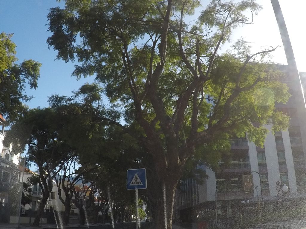 Casa Italia