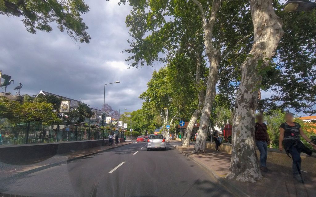 Proa Azul