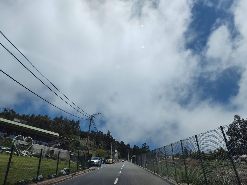Calheta Green