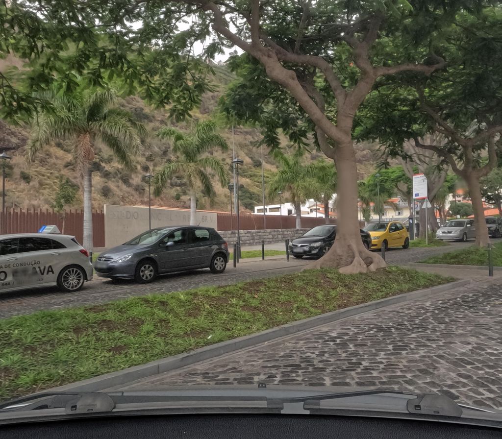 As Patinhas