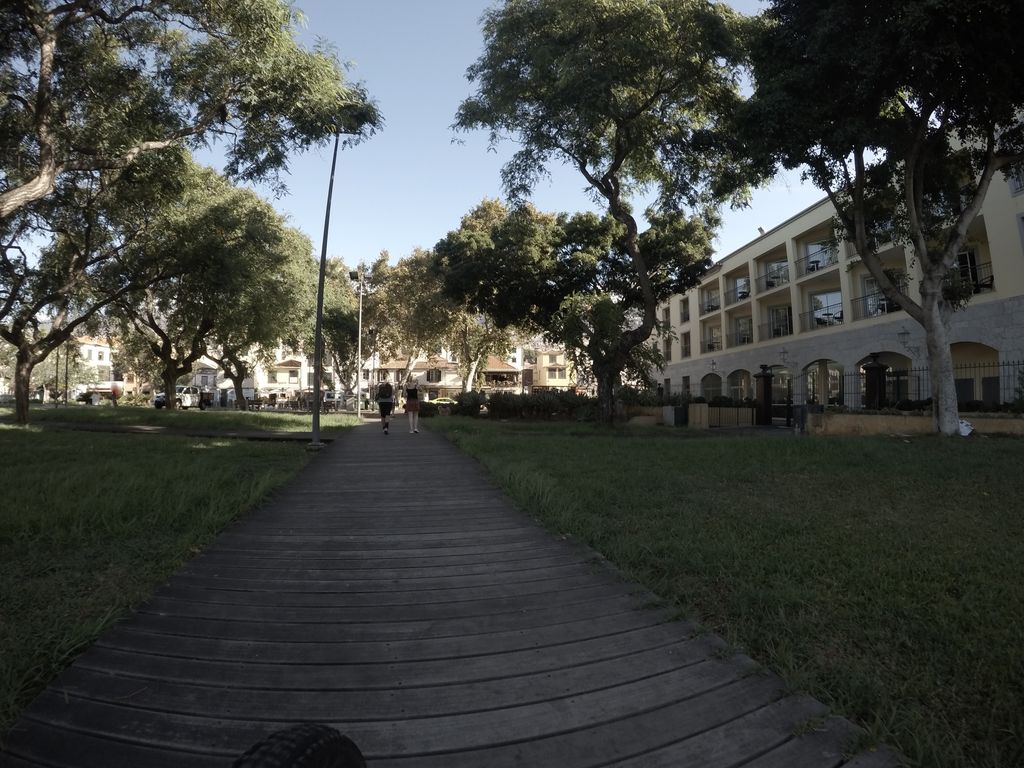 Le Jardin