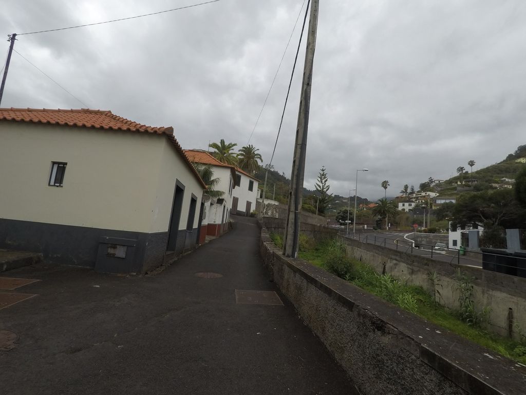 Teresinha