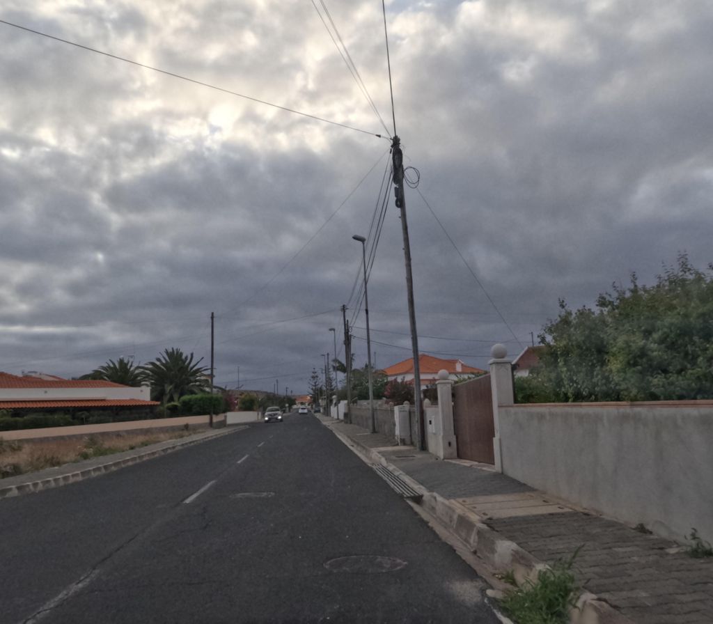 A Gazela