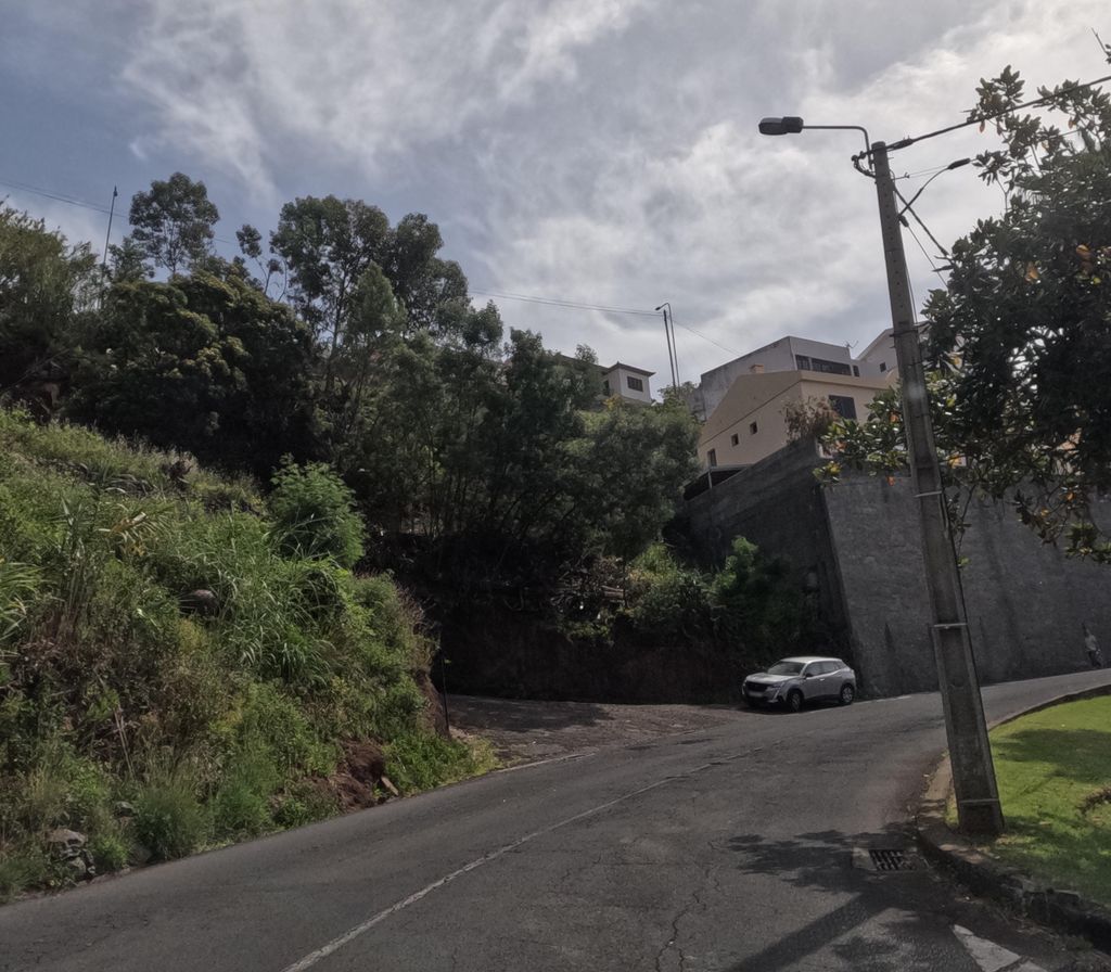 Pizzaria O Taco