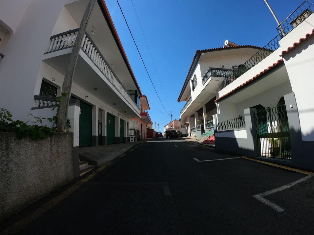 Trigo Rei