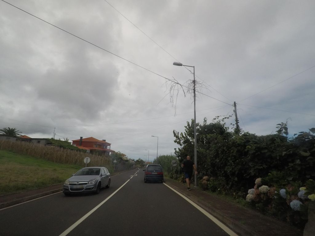 Videiras