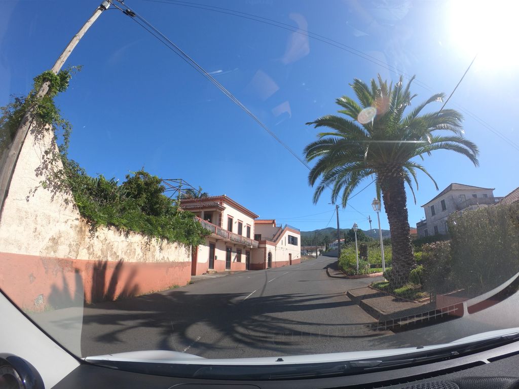 Sobreiro