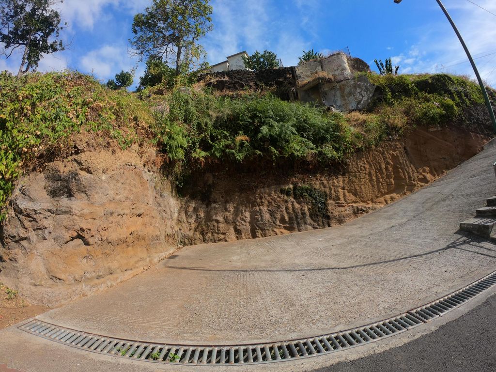 Tabaibas