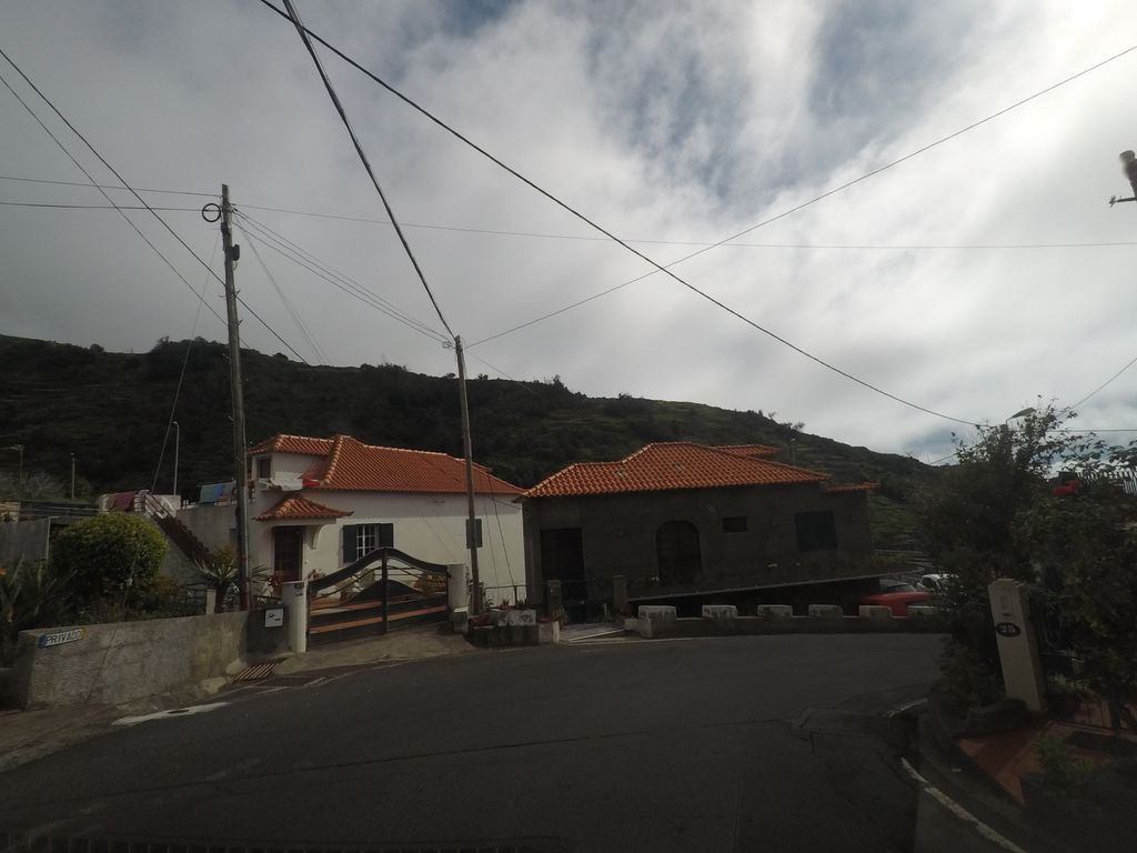 O Velosa