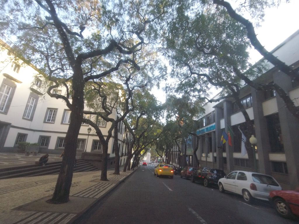Latada do Doutor