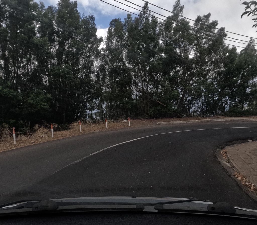 Grelhados do Pinheiro