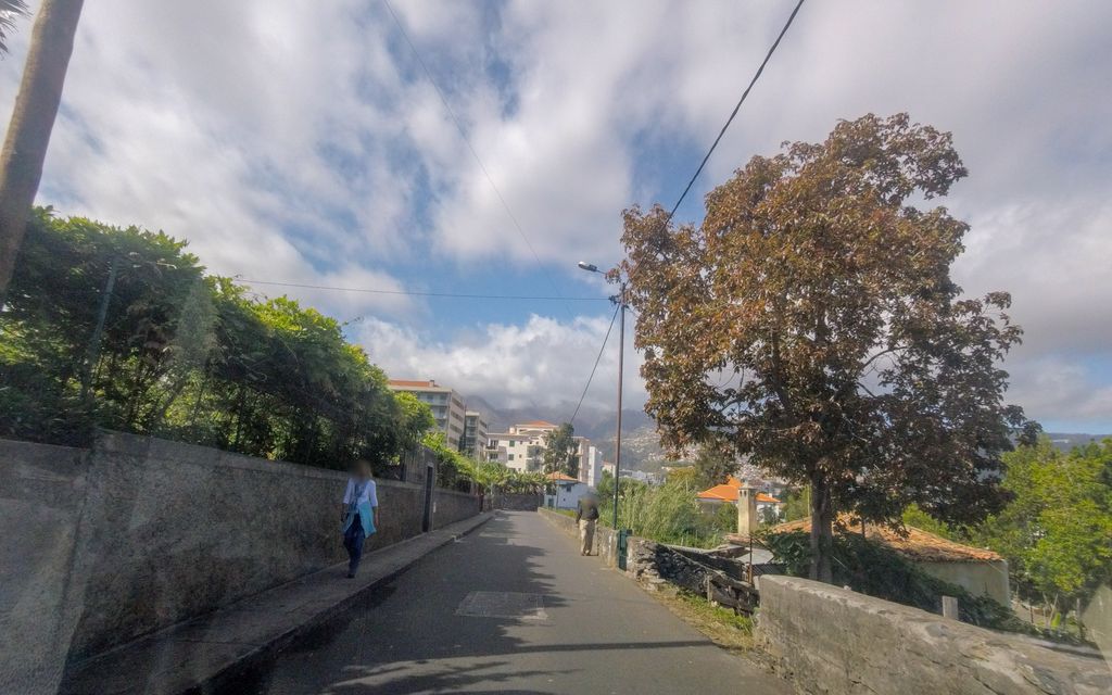 Avó António