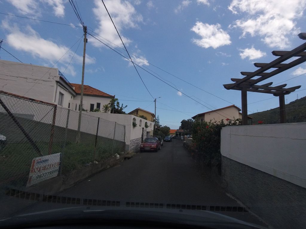 O Pombo