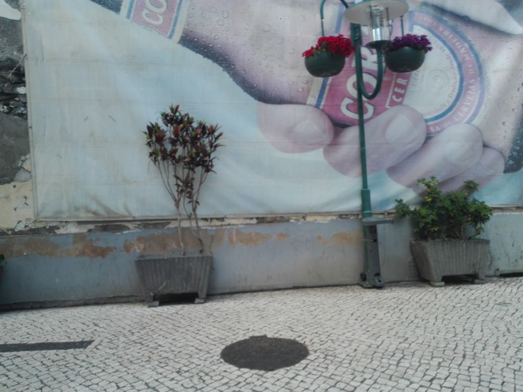 Marialva