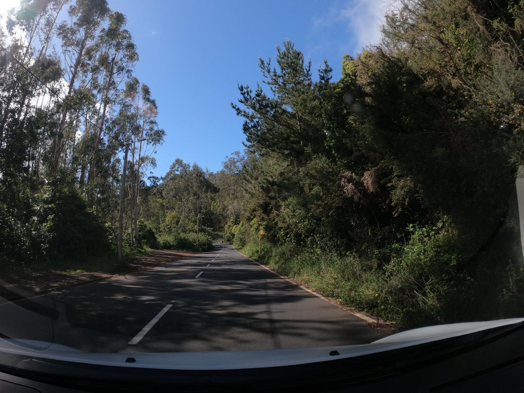 Adega Paradiso