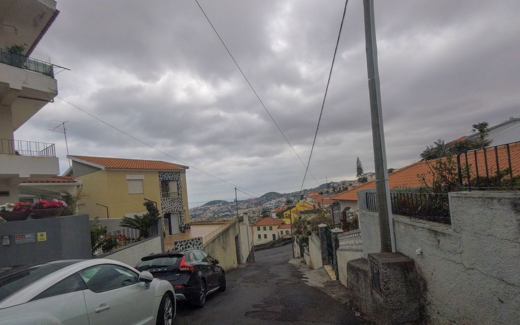 A Seta