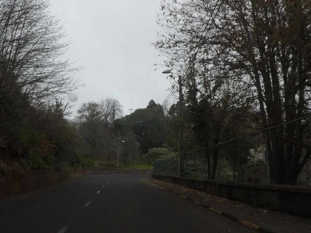Cosi Scoozi
