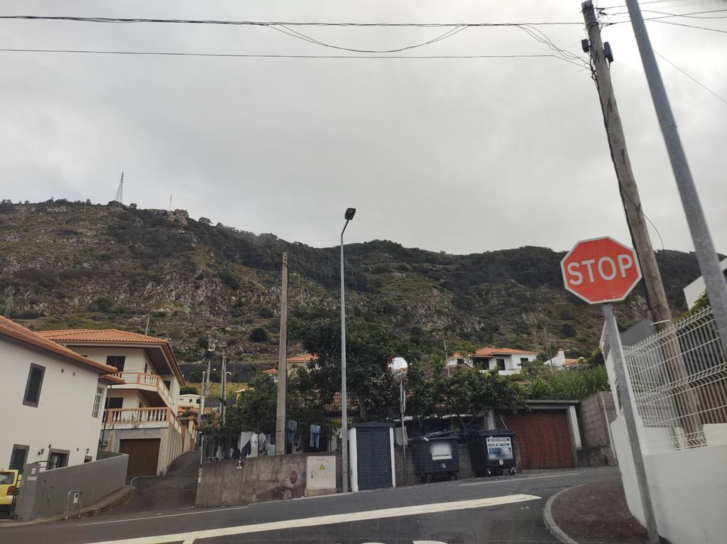 Chuva d'andorinhas